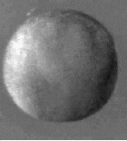 neurocl.gif (52234 bytes)