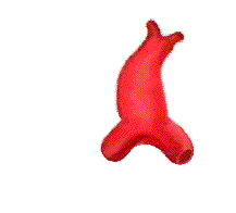 tube.gif (178838 bytes)