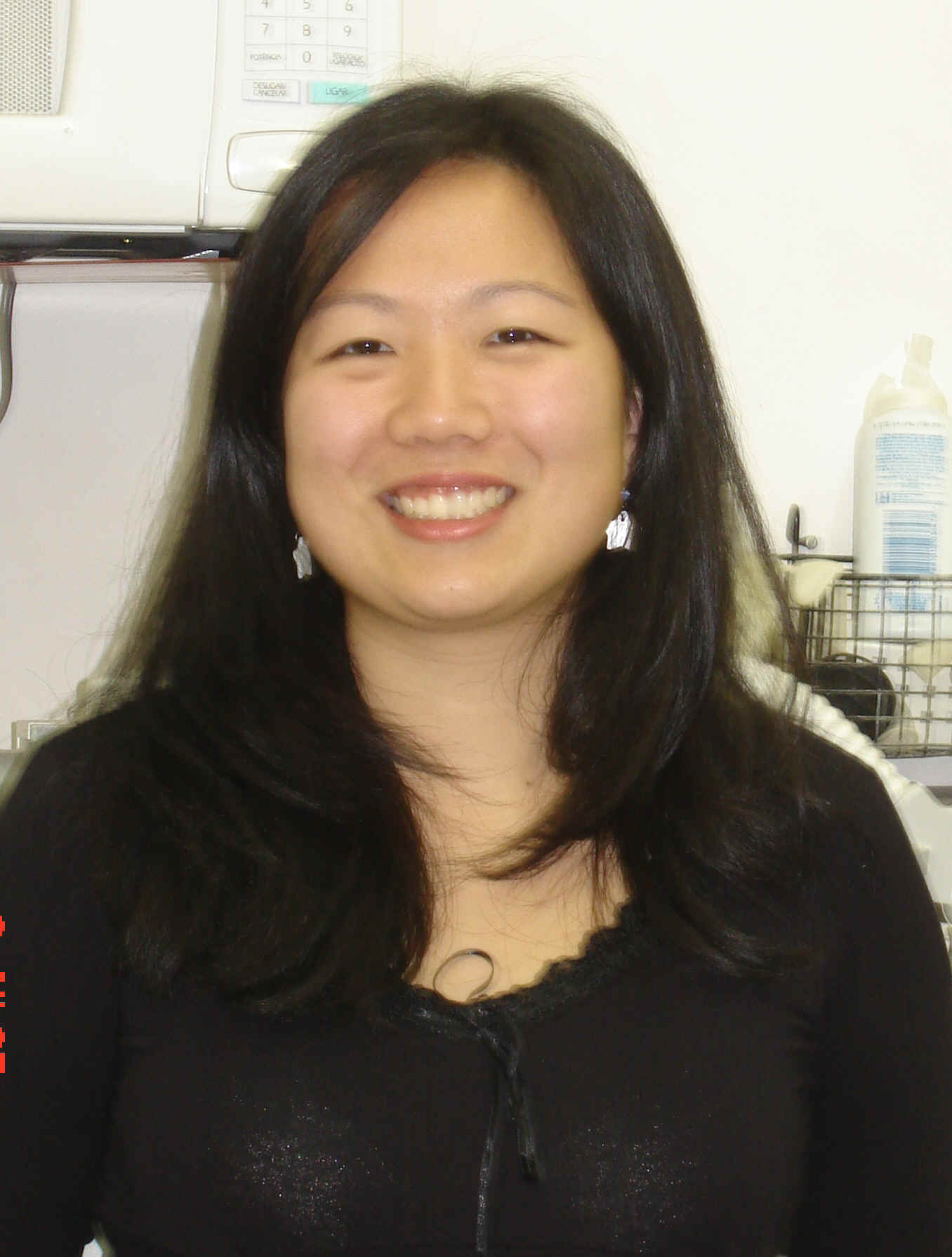 DSC00466.jpg (1333906 bytes)